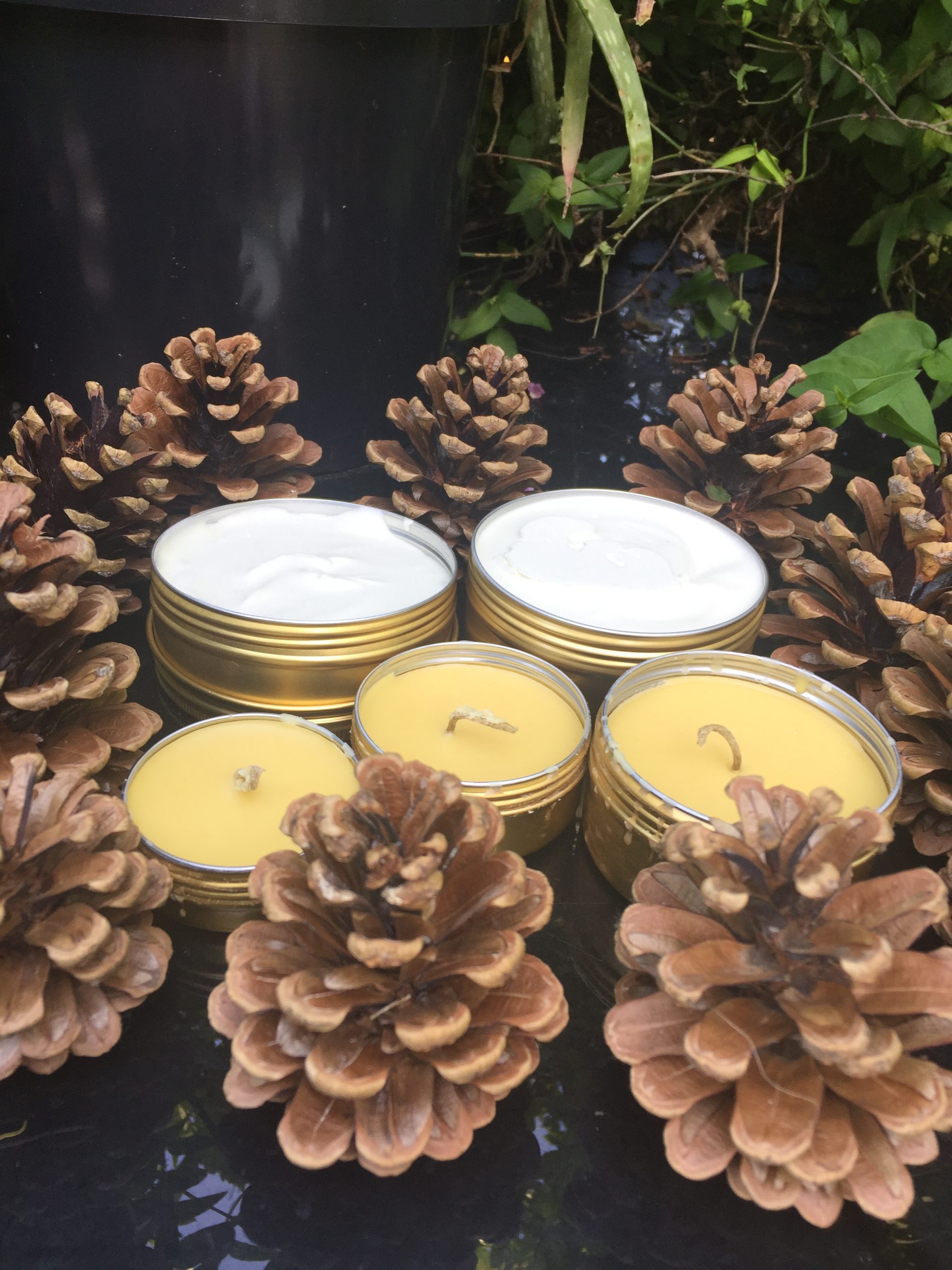 Green Gold – Organic Gift Baskets - Image 2