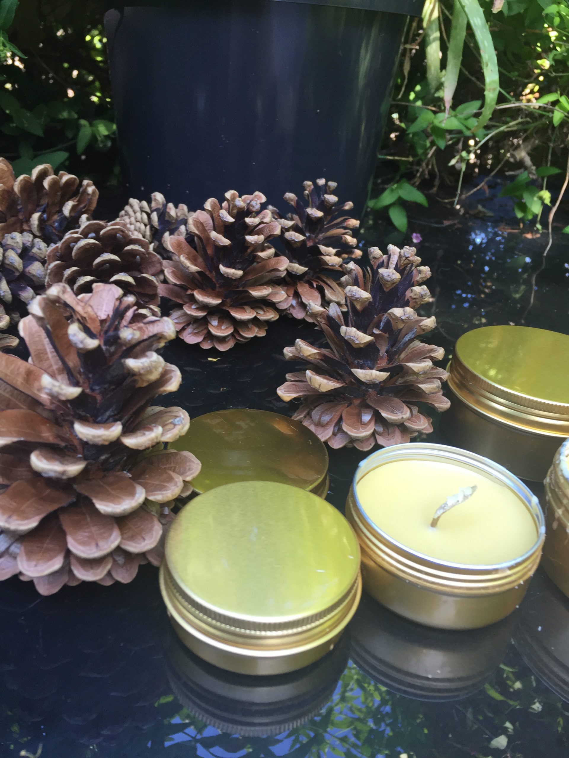 Green Gold – Organic Beeswax & Hemp Wick Candles – Beautiful Natural Fragrances - Image 3